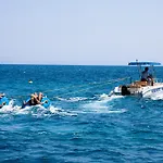 Wine Adriatic Mikulic オレビック