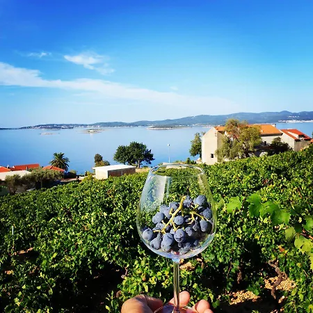 Wine Adriatic Mikulic 아파트호텔