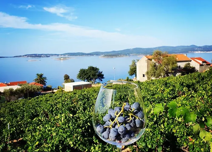 Wine Resort Adriatic Mikulic Aparthotel